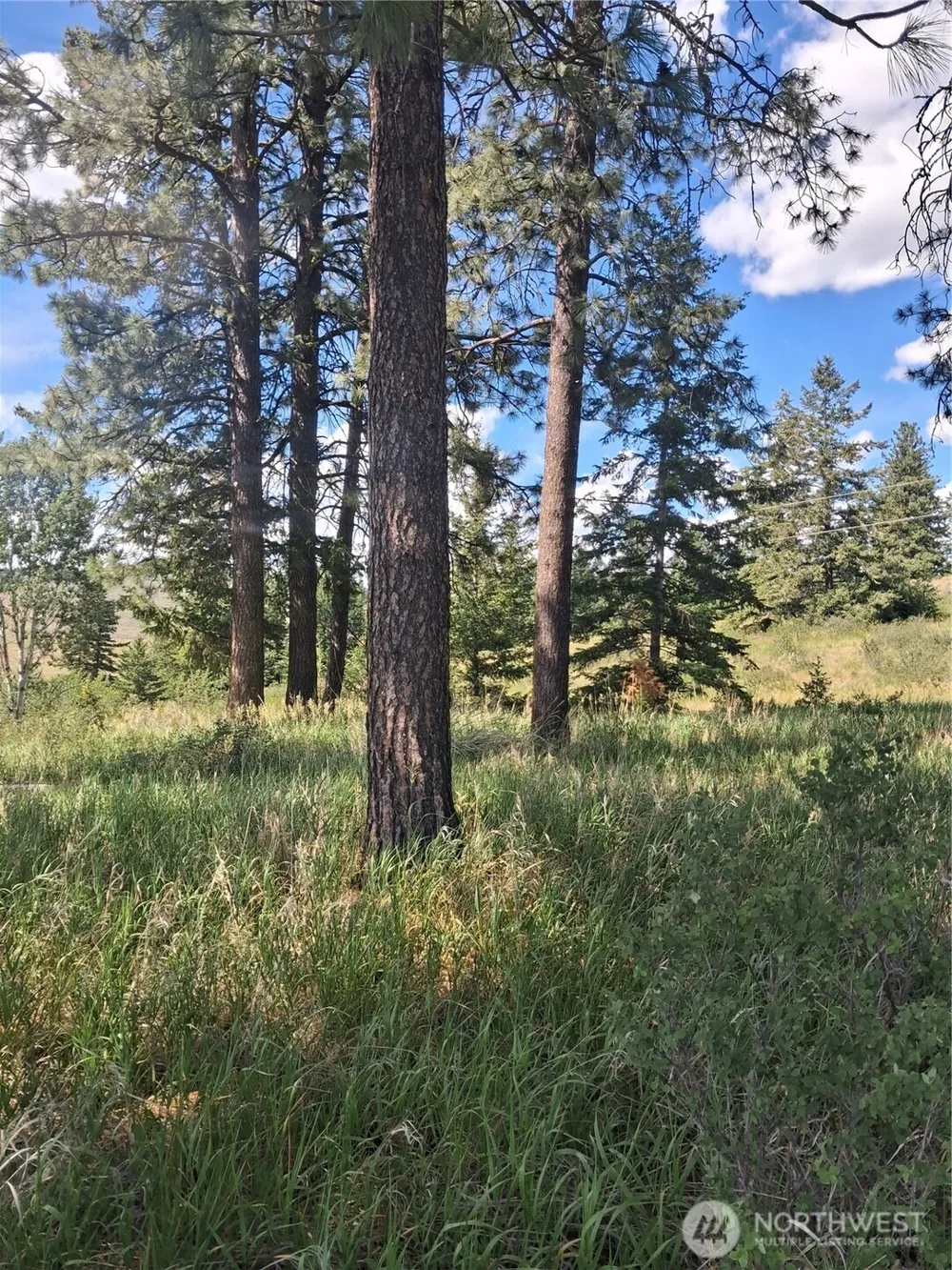 1 Fletcher/Rd 225 Road Oroville, WA 98840
