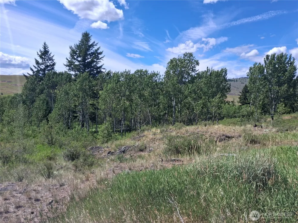 1 Fletcher/Rd 225 Road Oroville, WA 98840