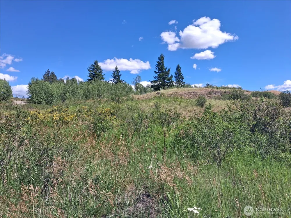 1 Fletcher/Rd 225 Road Oroville, WA 98840