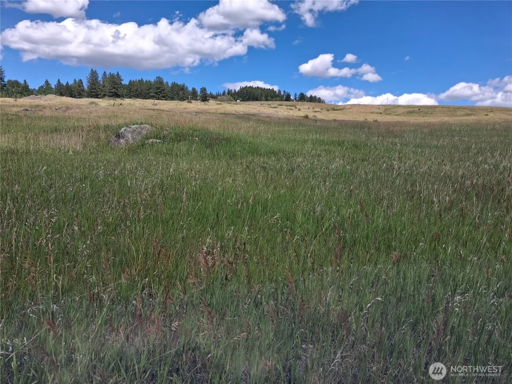 1 Fletcher/Rd 225 Road Oroville, WA 98840