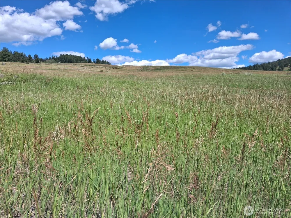 1 Fletcher/Rd 225 Road Oroville, WA 98840