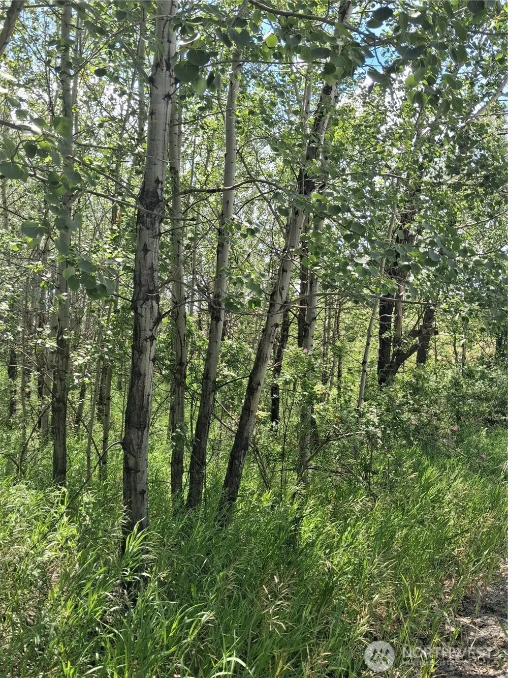 1 Fletcher/Rd 225 Road Oroville, WA 98840