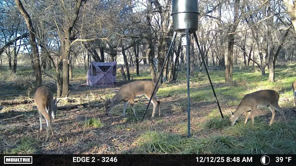 200 Patterson Lane Palo Pinto, TX 76484