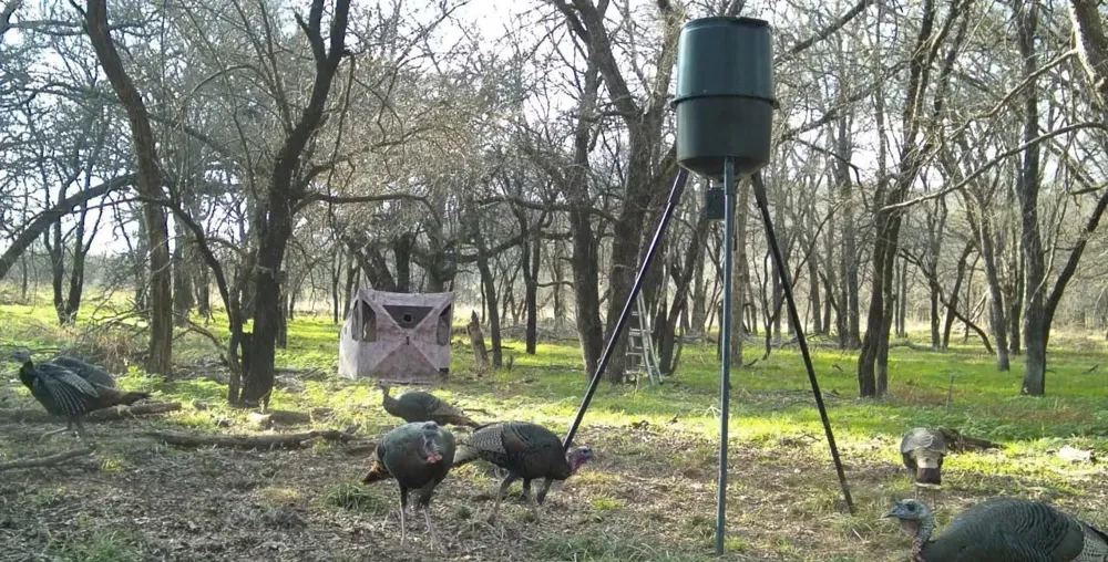 200 Patterson Lane Palo Pinto, TX 76484
