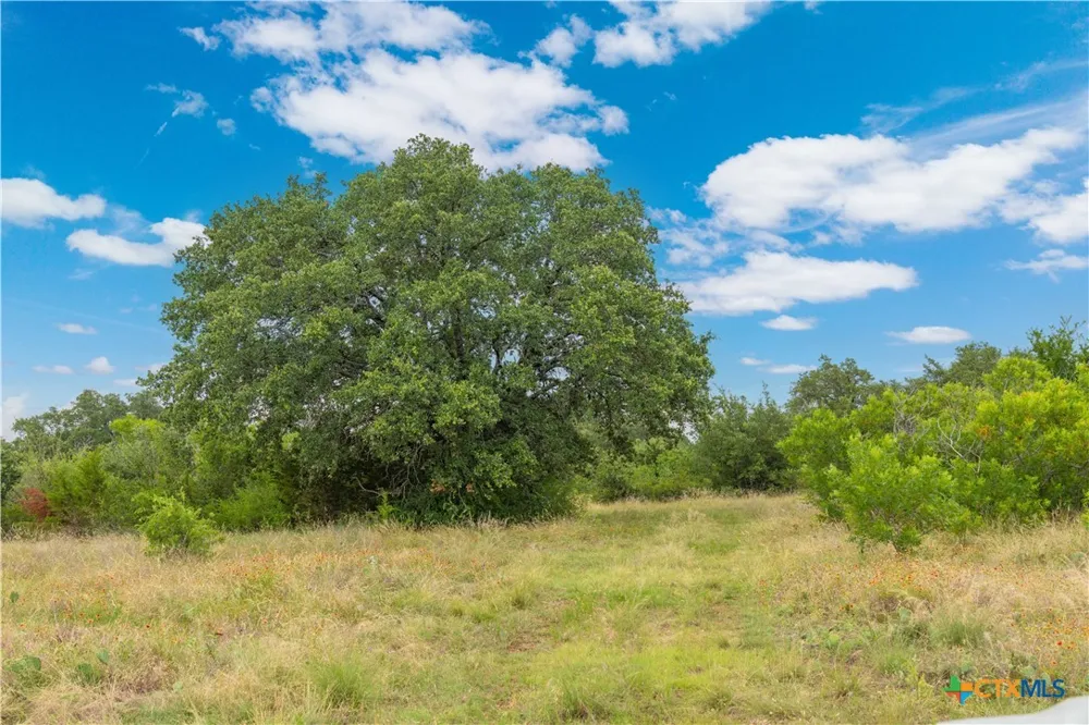 8160 Fm 2412 Gatesville, TX 76528