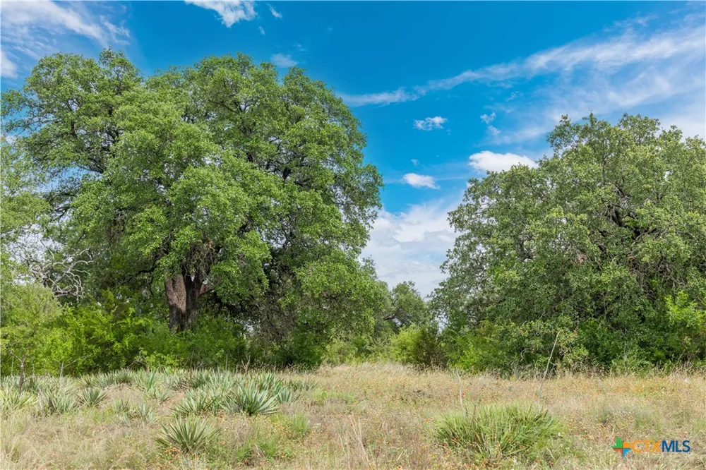8160 Fm 2412 Gatesville, TX 76528