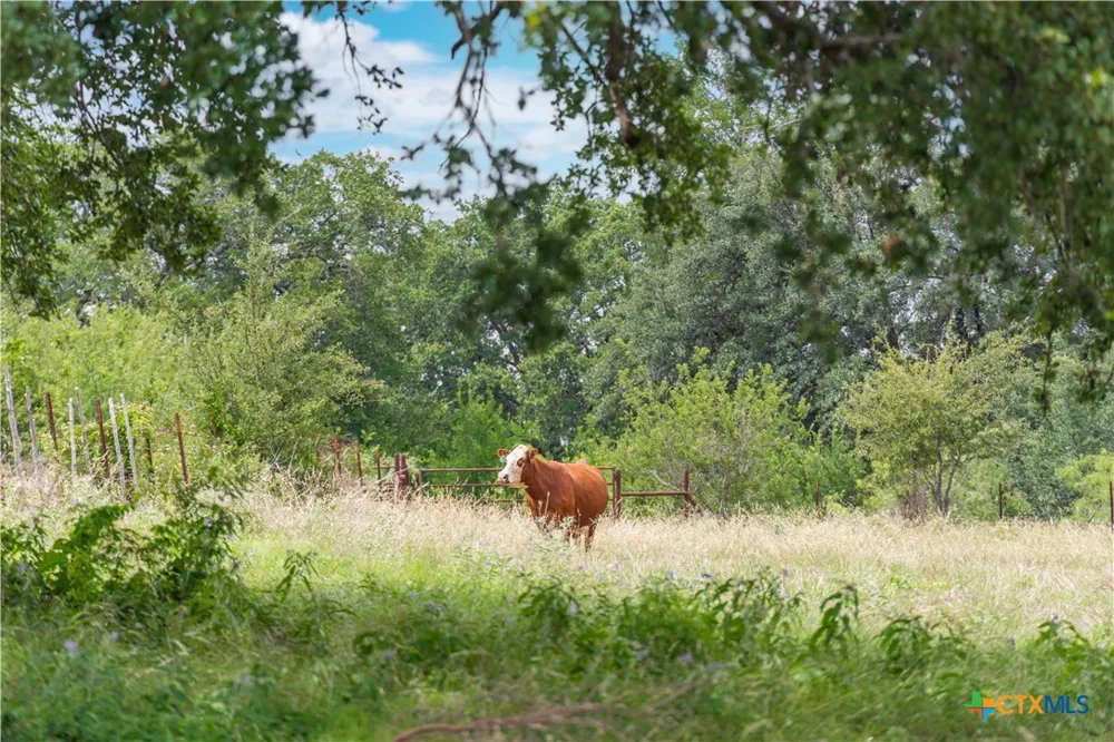 8160 Fm 2412 Gatesville, TX 76528