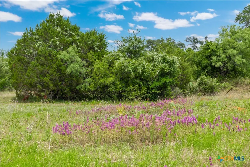 8160 Fm 2412 Gatesville, TX 76528