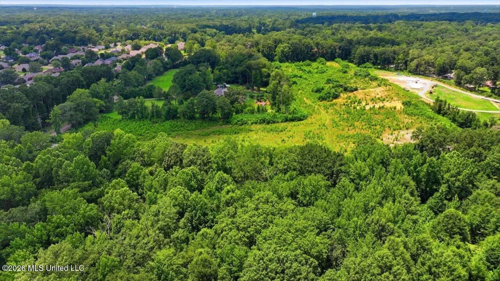 Luckney Road Brandon, MS 39042