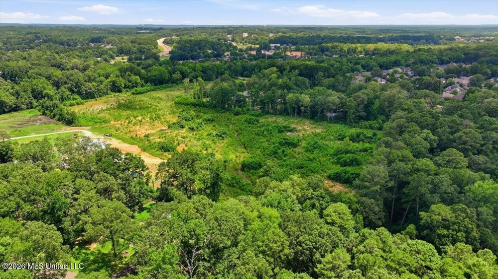 Luckney Road Brandon, MS 39042
