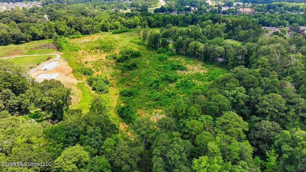 Luckney Road Brandon, MS 39042