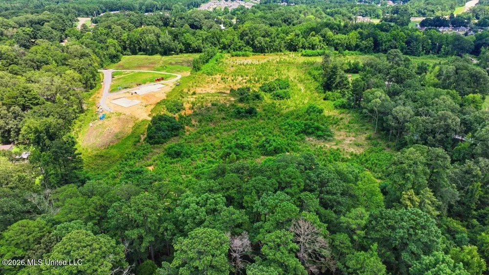 Luckney Road Brandon, MS 39042