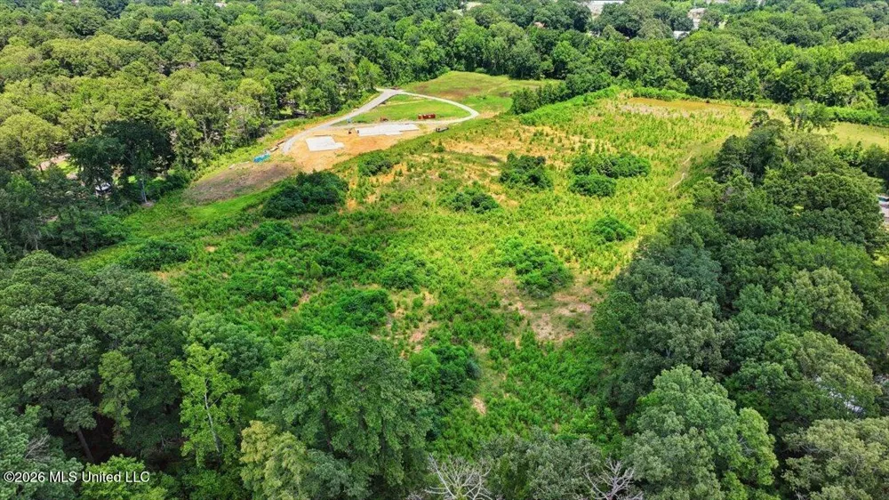 Luckney Road Brandon, MS 39042