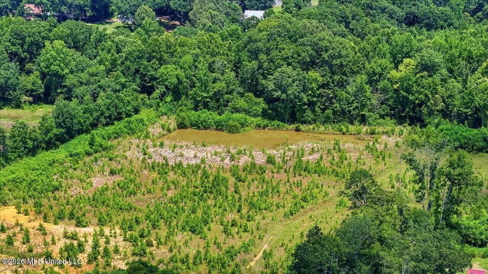 Luckney Road Brandon, MS 39042