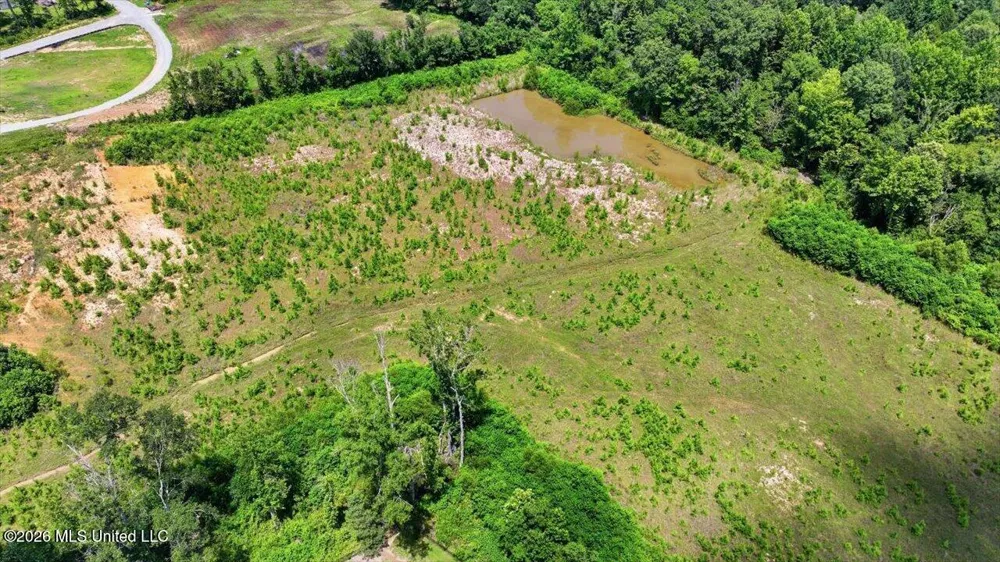 Luckney Road Brandon, MS 39042