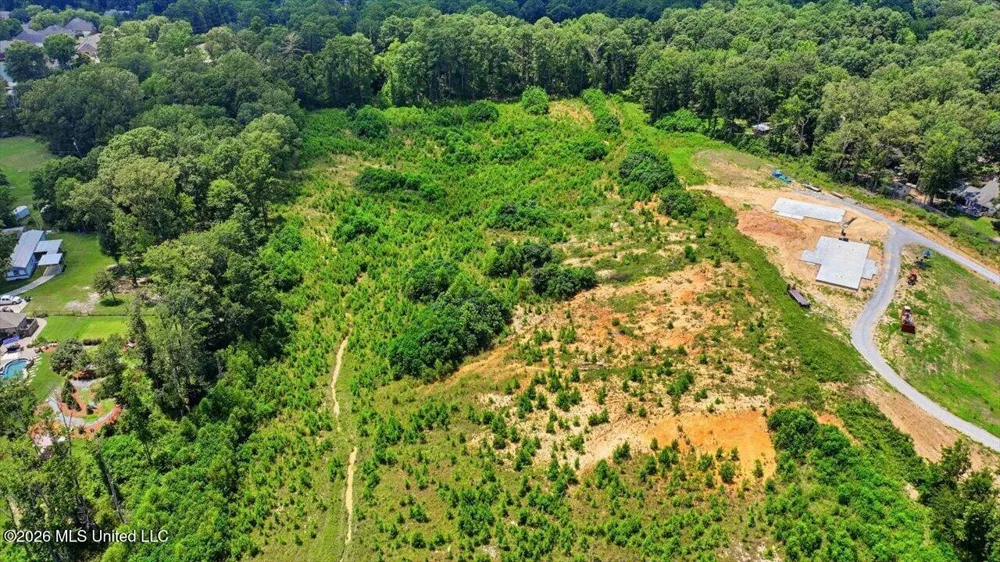 Luckney Road Brandon, MS 39042