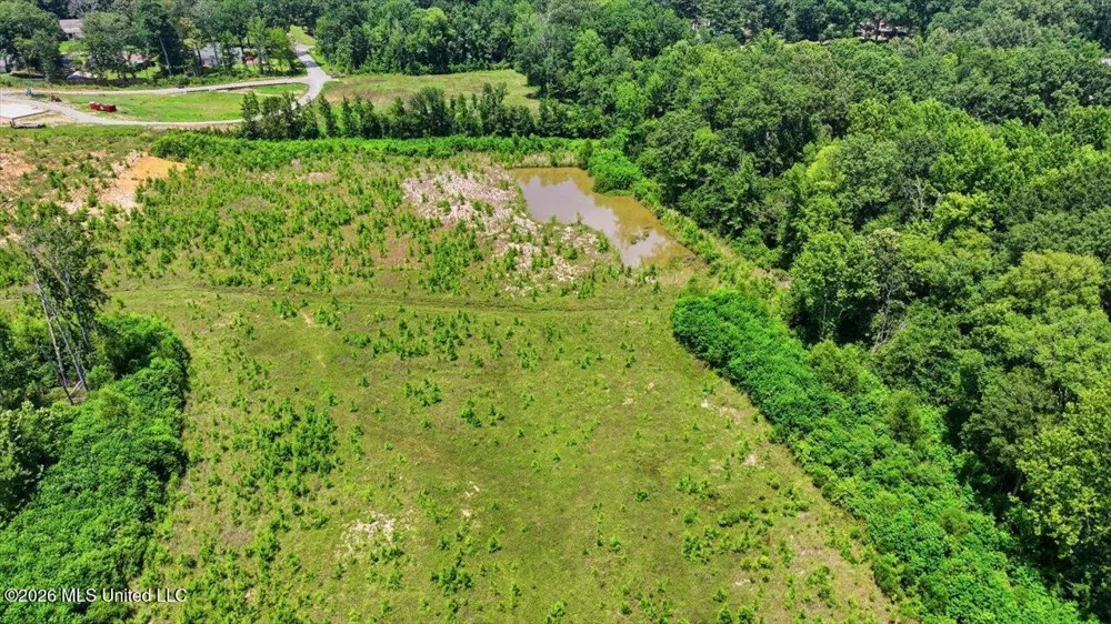 Luckney Road Brandon, MS 39042