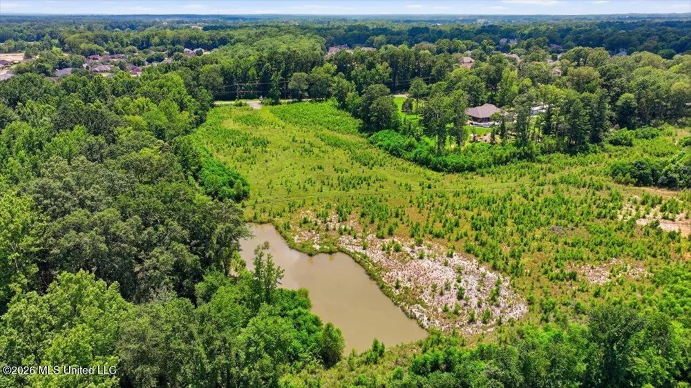 Luckney Road Brandon, MS 39042