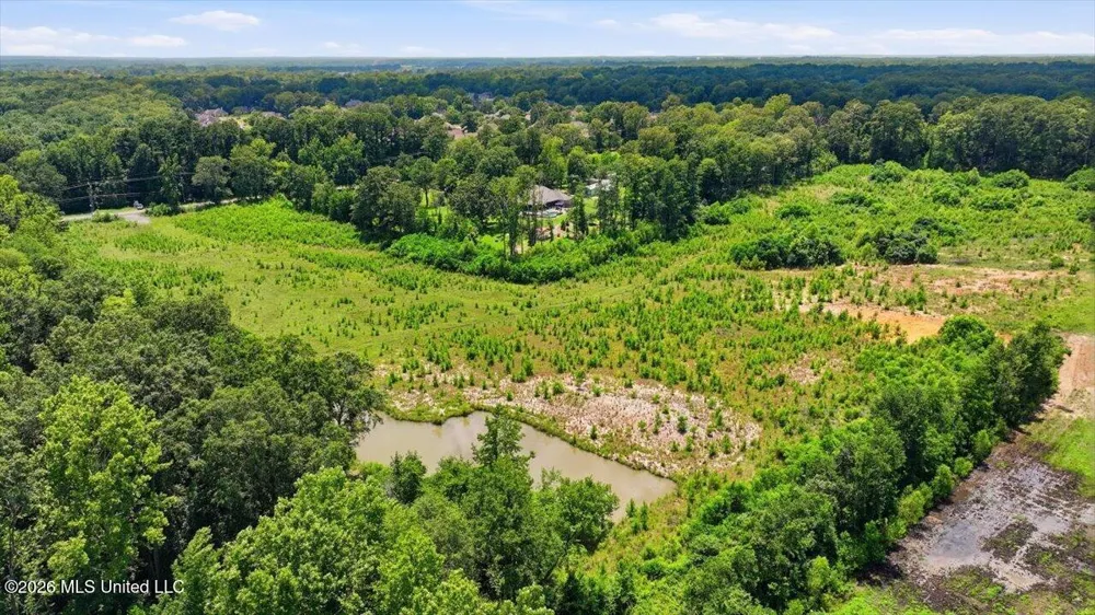 Luckney Road Brandon, MS 39042