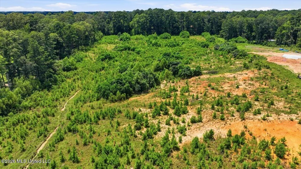 Luckney Road Brandon, MS 39042
