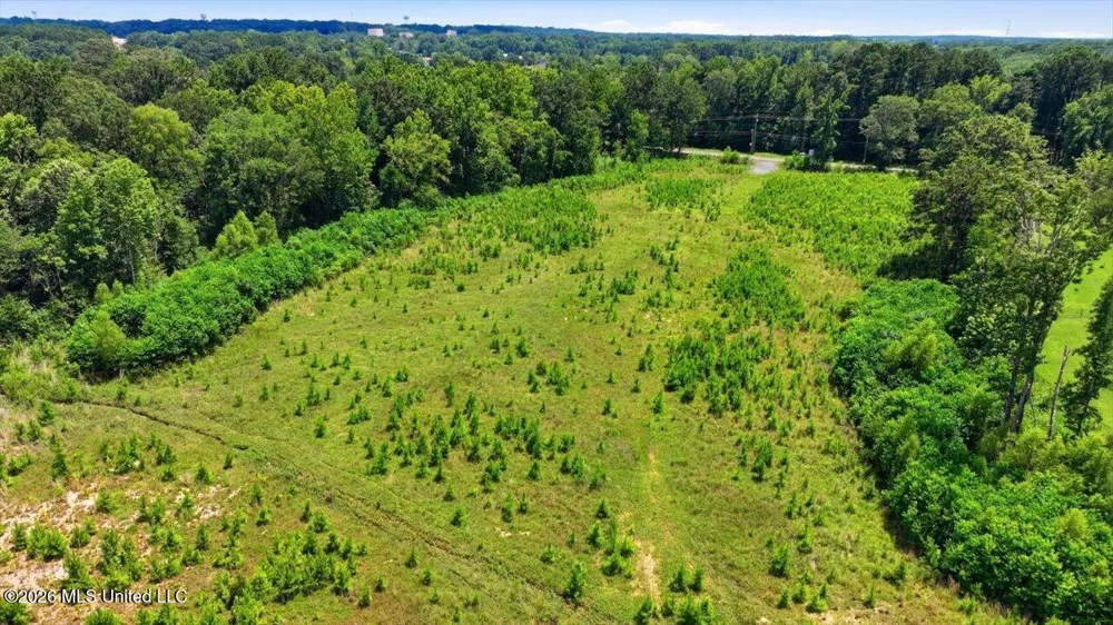 Luckney Road Brandon, MS 39042