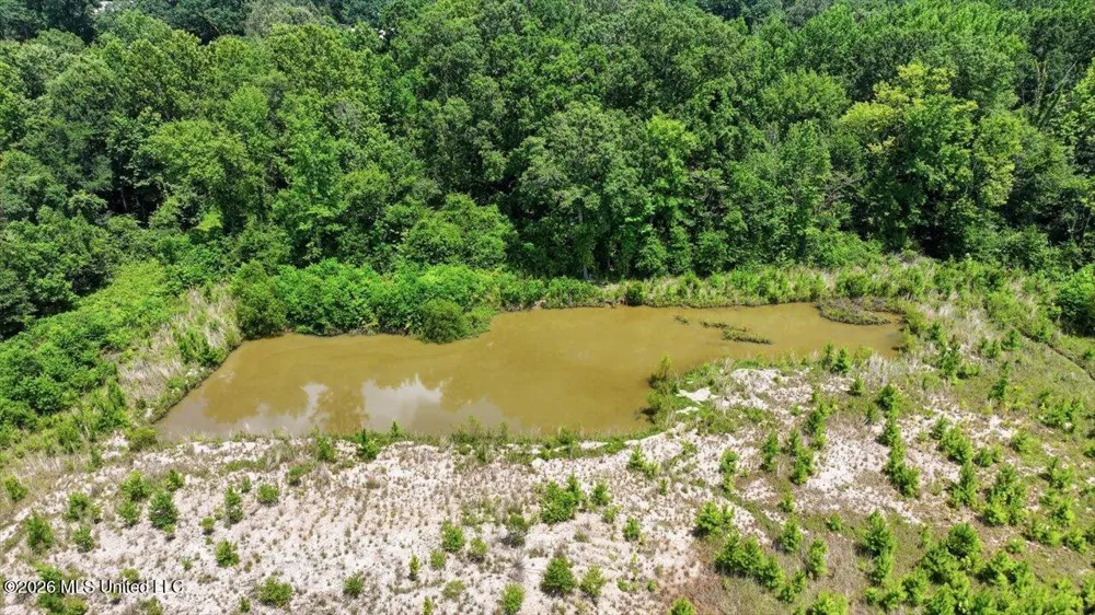 Luckney Road Brandon, MS 39042