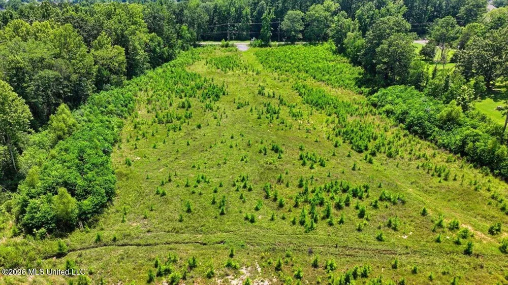 Luckney Road Brandon, MS 39042