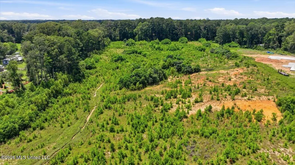 Luckney Road Brandon, MS 39042