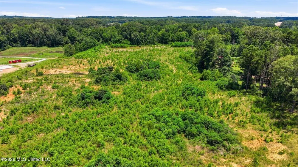 Luckney Road Brandon, MS 39042