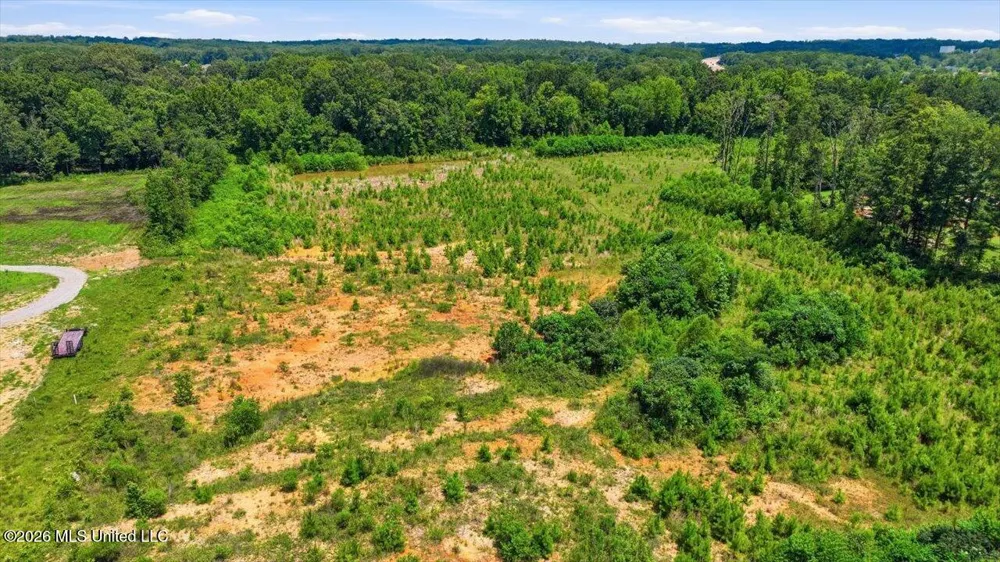 Luckney Road Brandon, MS 39042