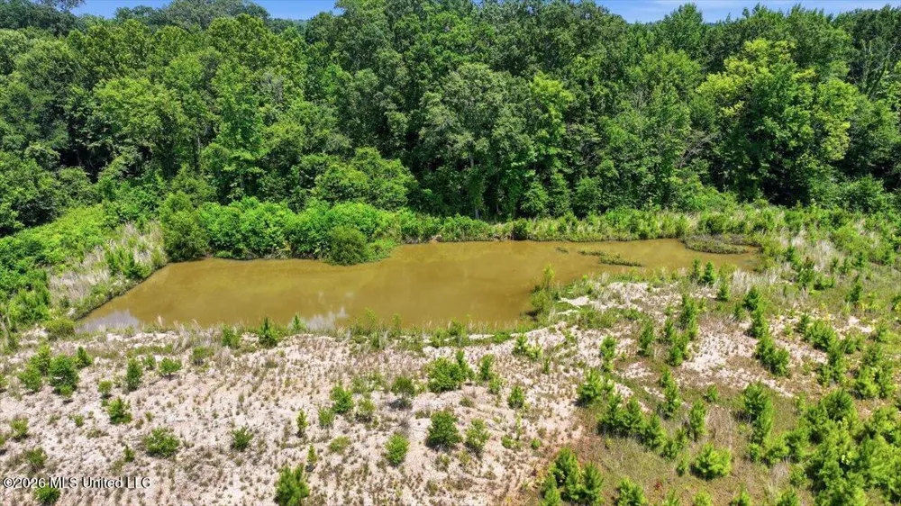 Luckney Road Brandon, MS 39042