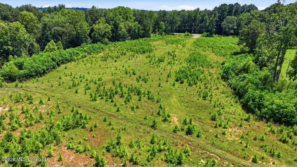 Luckney Road Brandon, MS 39042
