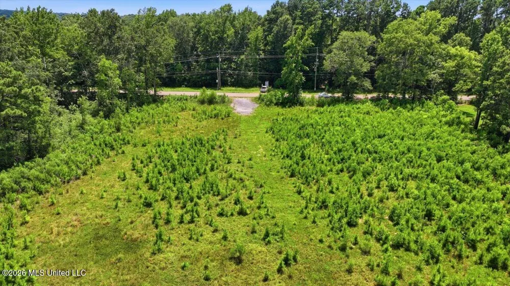 Luckney Road Brandon, MS 39042