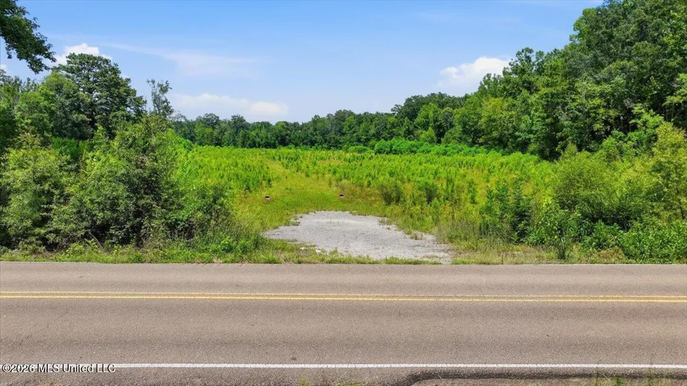 Luckney Road Brandon, MS 39042