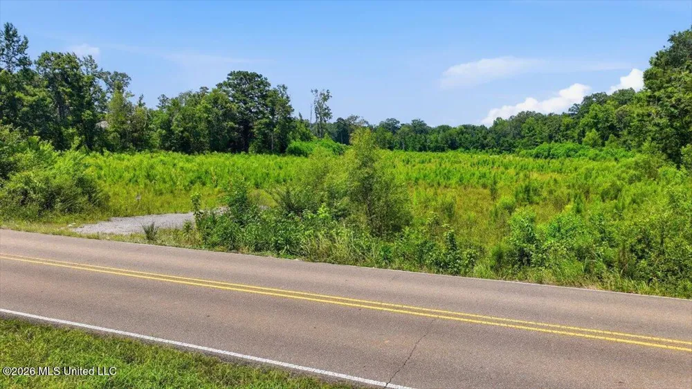 Luckney Road Brandon, MS 39042