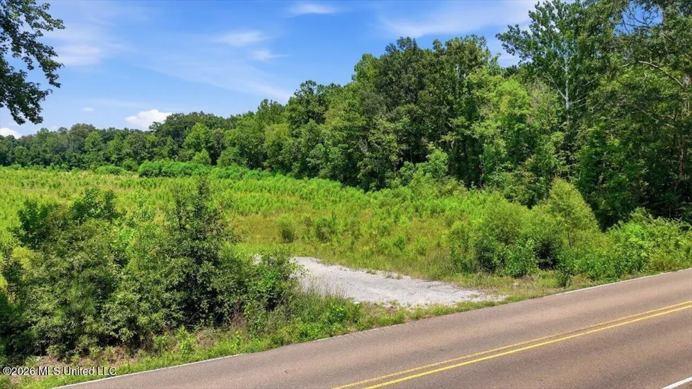 Luckney Road Brandon, MS 39042