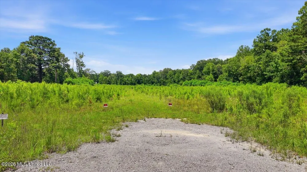 Luckney Road Brandon, MS 39042