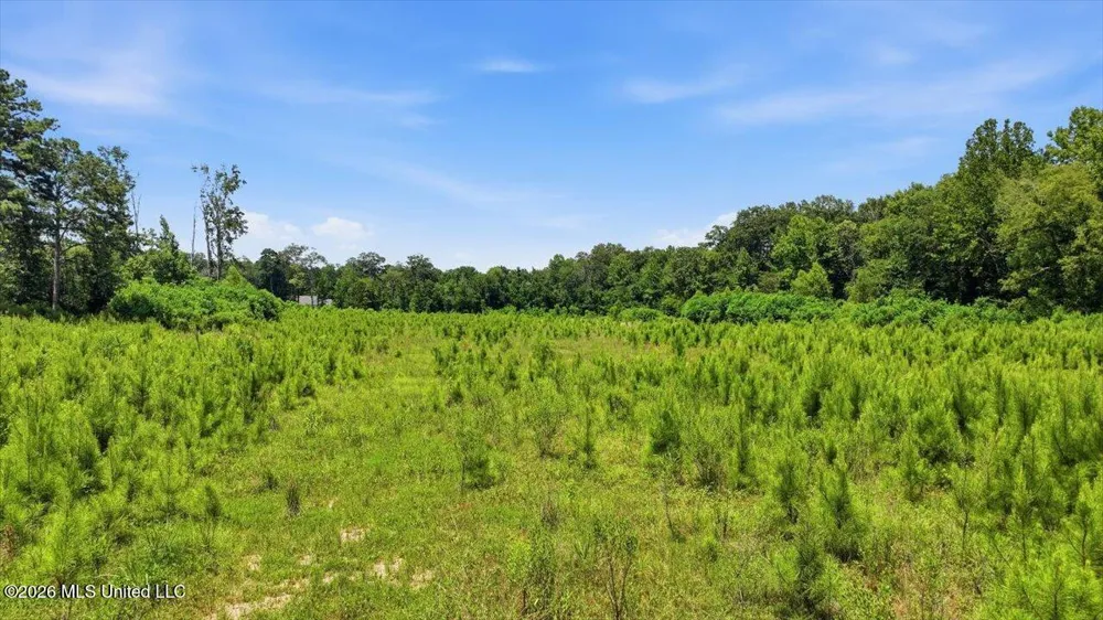Luckney Road Brandon, MS 39042