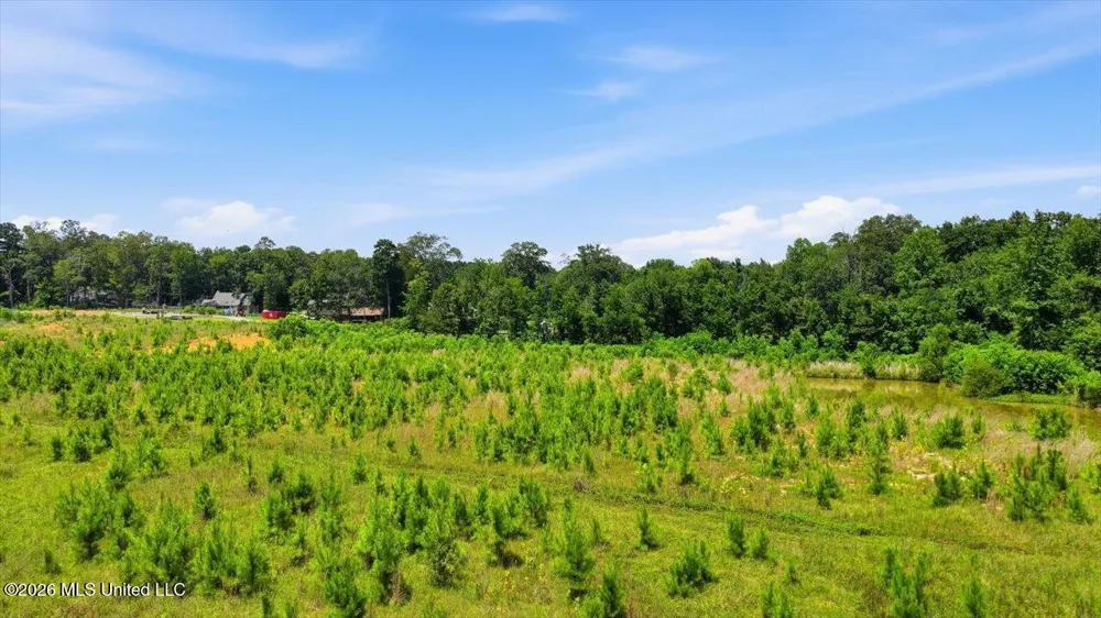Luckney Road Brandon, MS 39042