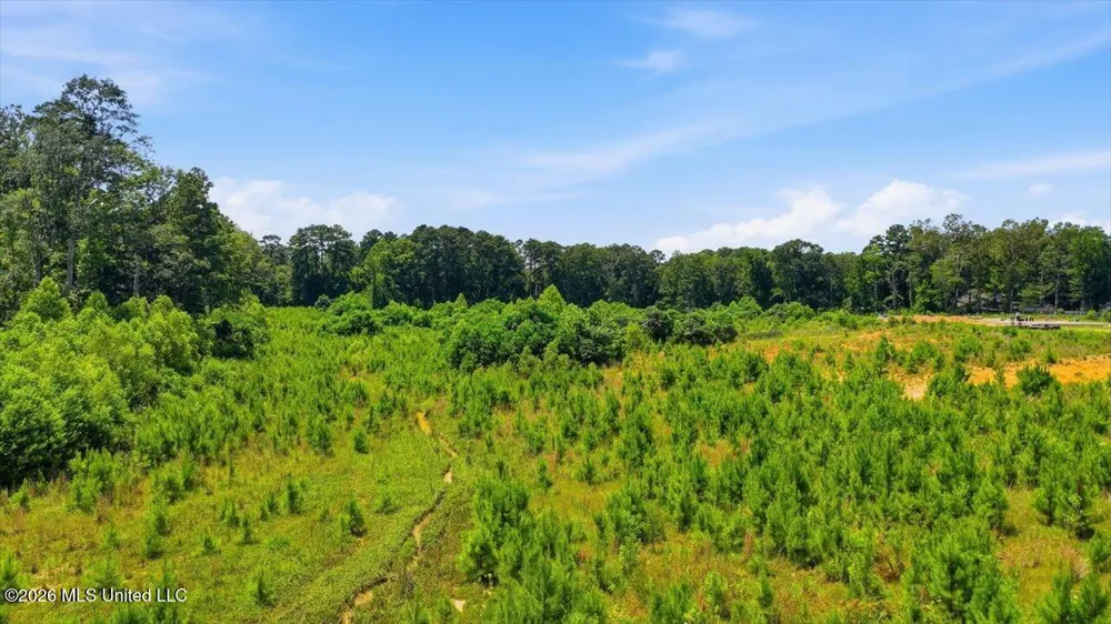 Luckney Road Brandon, MS 39042