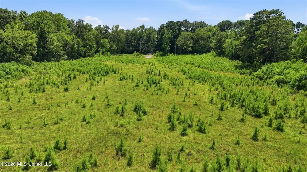 Luckney Road Brandon, MS 39042