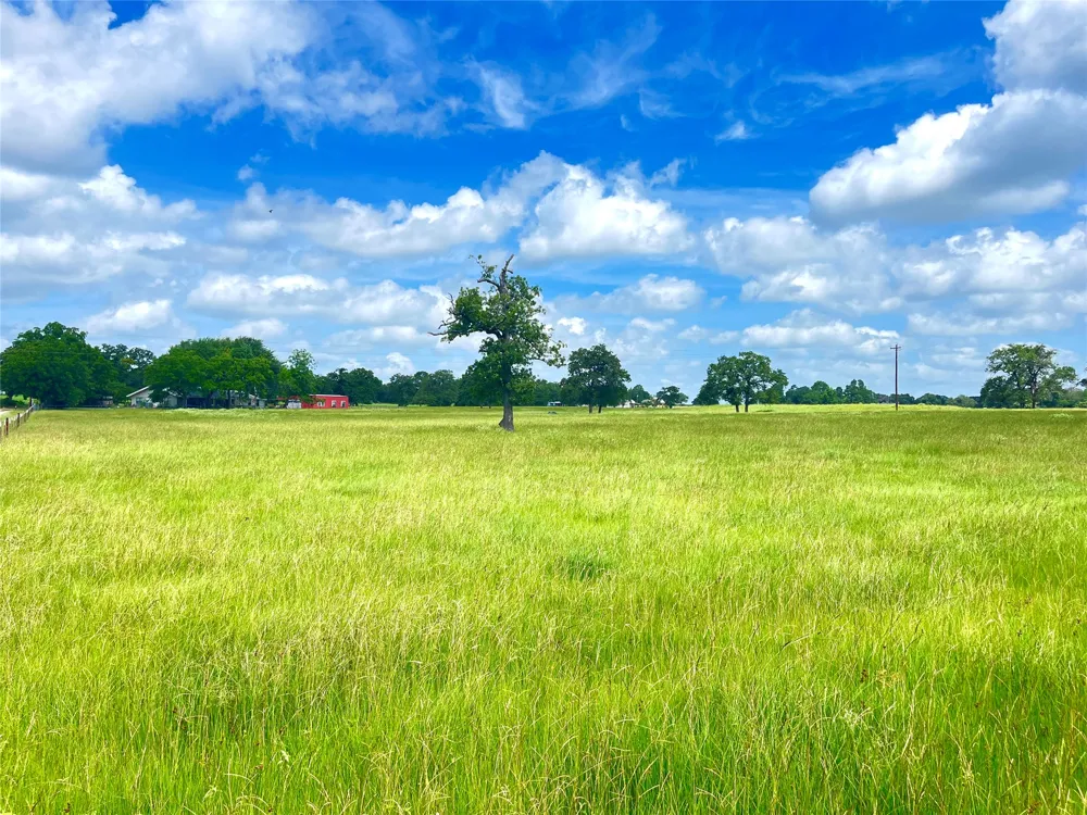 11009 HWY 77 Highway Lexington, TX 78947