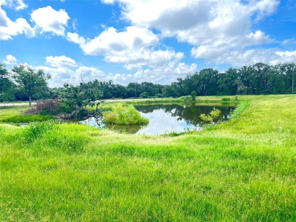 11009 HWY 77 Highway Lexington, TX 78947