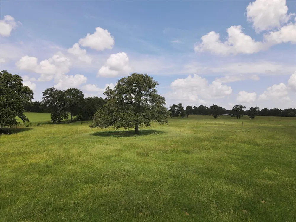 11009 HWY 77 Highway Lexington, TX 78947