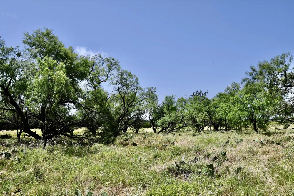CR 3340 Kempner, TX 76539