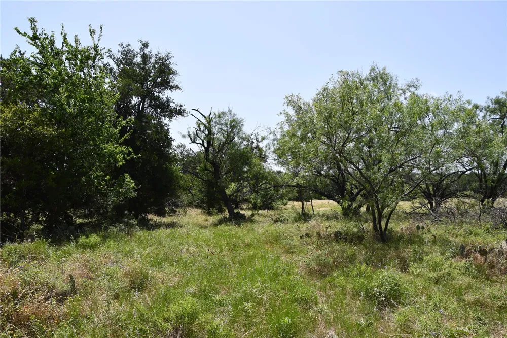 CR 3340 Kempner, TX 76539