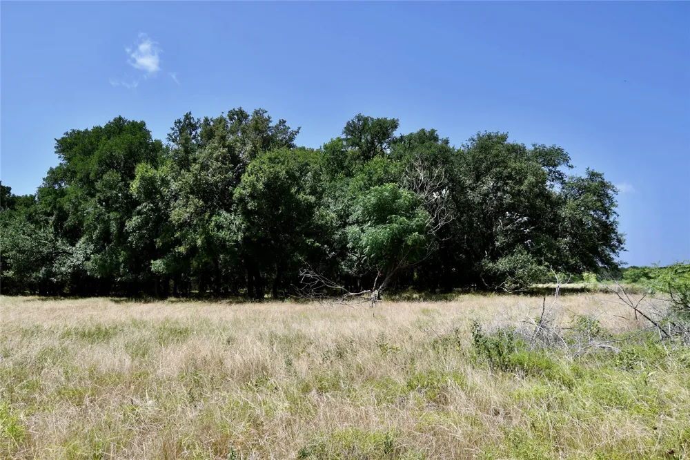 CR 3340 Kempner, TX 76539