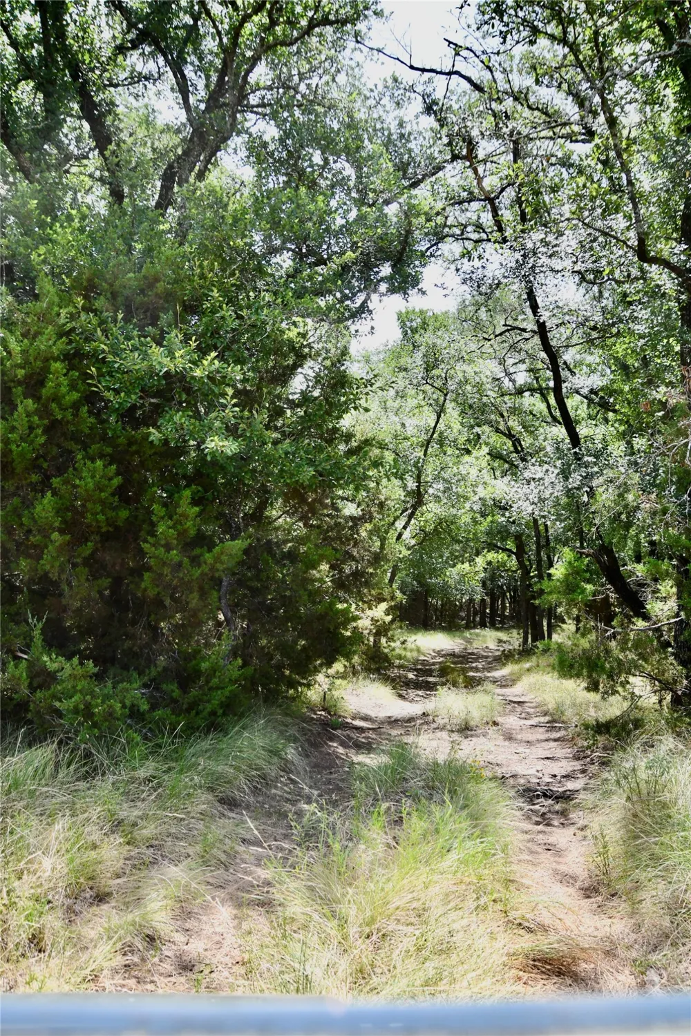 CR 3340 Kempner, TX 76539
