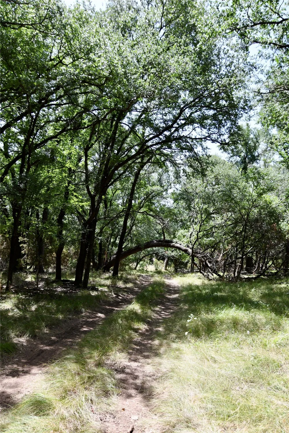 CR 3340 Kempner, TX 76539