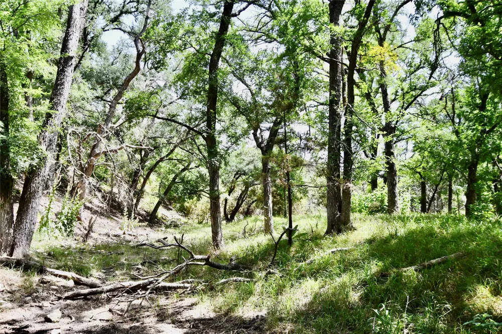 CR 3340 Kempner, TX 76539